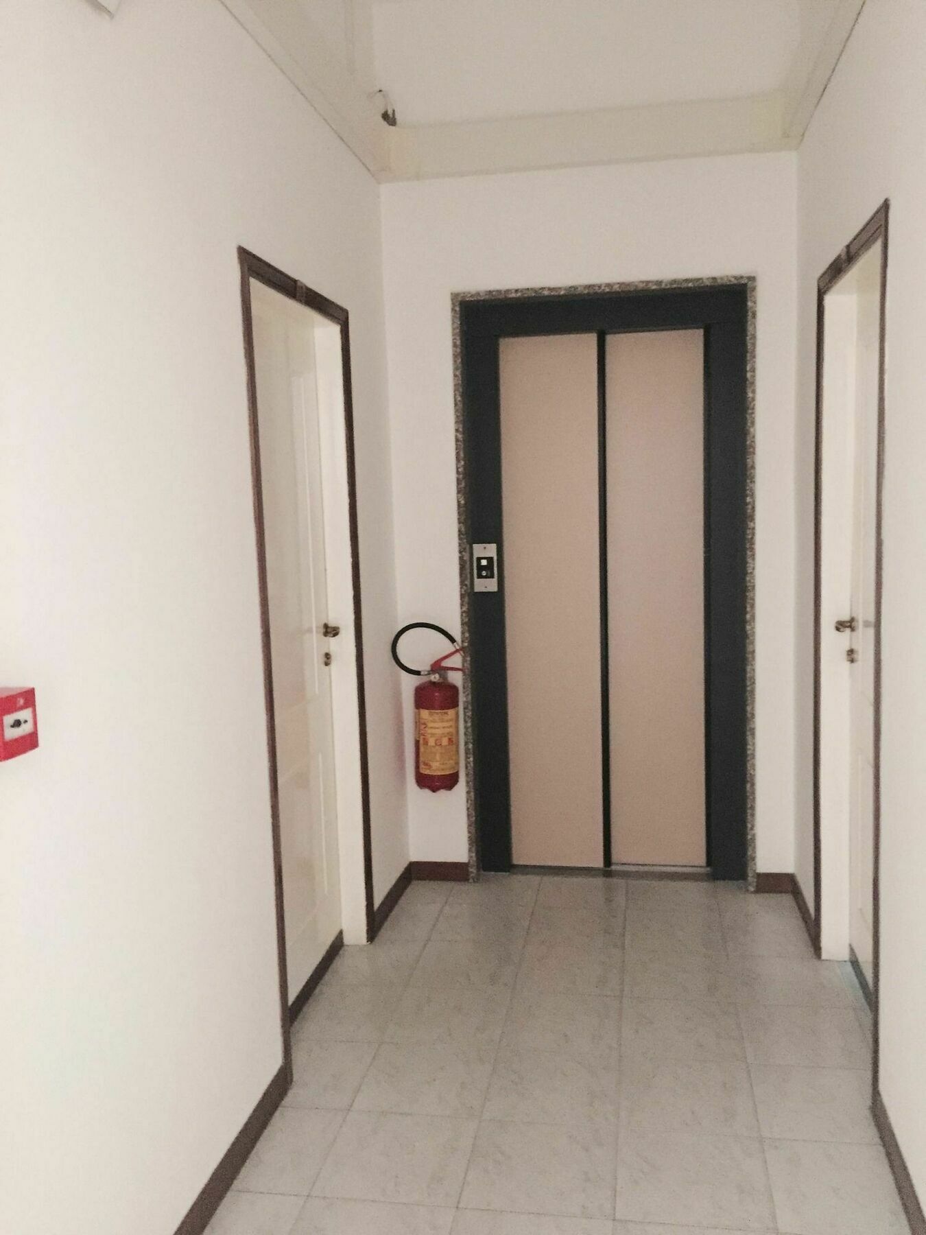רימיני Albergo Leonarda מראה חיצוני תמונה