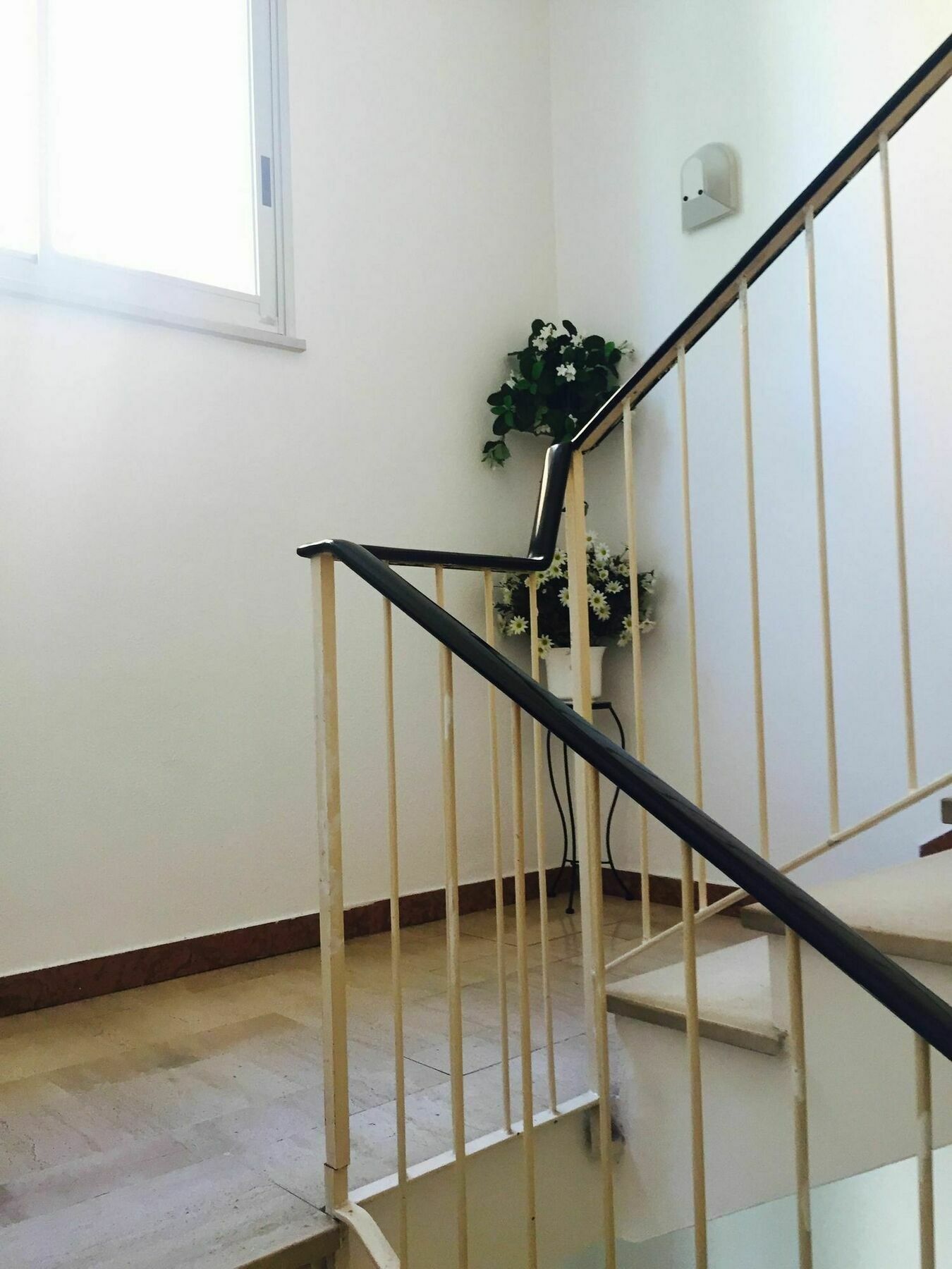 רימיני Albergo Leonarda מראה חיצוני תמונה